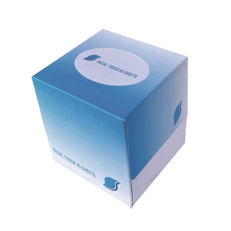 GEN Facial Tissue Cube Box, 2-Ply, White, 85 Sheets/Box, 36 Boxes/Carton (GEN852E)