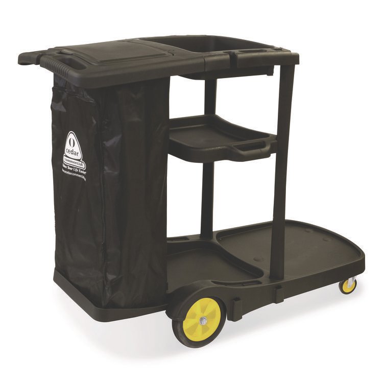 NEXSTEP COMMERCIAL PRODUCTS Premier Janitor Cart, 2 Shelves, Plastic, 18.25 x 44.5 x 38, Black (NCP96980)