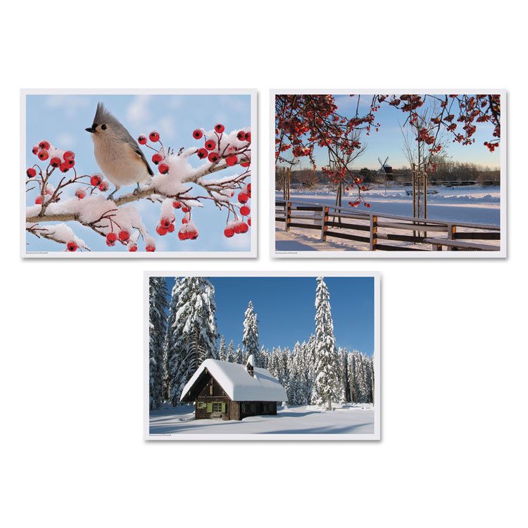 Hoffmaster Winter Multi-Pack Placemats, 10 x 14, Three Different Scenes, 1,000/Carton (HFM702079)