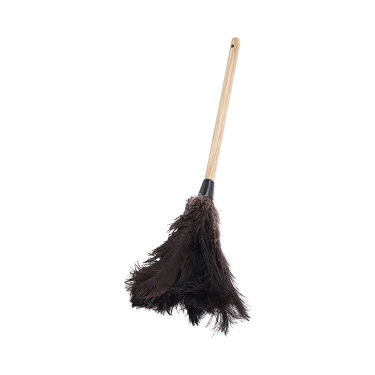 Boardwalk Professional Ostrich Feather Duster, 10" Wood Handle (BWK20BK)