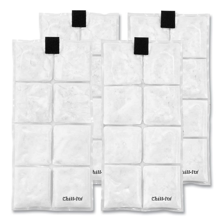 ergodyne Chill-Its 6250 Lightweight Phase Change Cooling Packs, 6 x 13, 4/Pack (EGO12120)