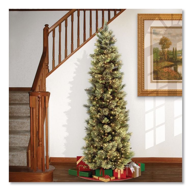 NATIONAL TREE COMPANY Pre-Lit Carolina Pine Slim Tree, 29" x 29" x 78", Green Tree, Green Tree Stand (NTTCAP333065)