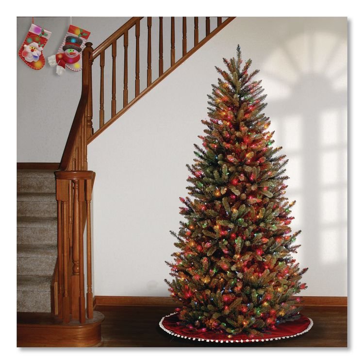NATIONAL TREE COMPANY Pre-Lit Natural Fraser Fir Slim Tree, 40" x 40" x 78", Green Tree, Green Tree Stand (NTTNAFFSLH165RL)