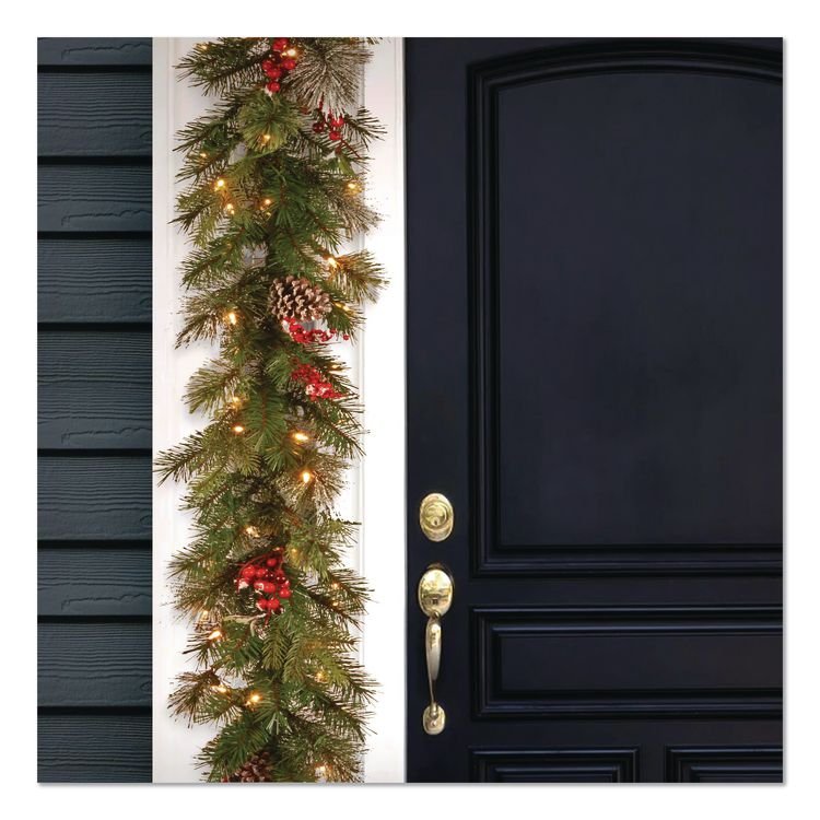 NATIONAL TREE COMPANY Pre-Lit Wintry Pine Garland, AC Powered, Clear Incandescent Lights, 108" Long, Green (NTTPEWT3009B1)