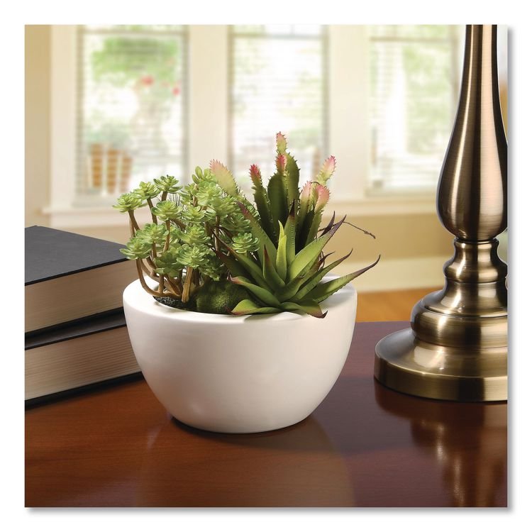 NATIONAL TREE COMPANY Spring Potted Plant, 8" x 8" x 8", Green Plant, White Pot (NTTRASXF169W)