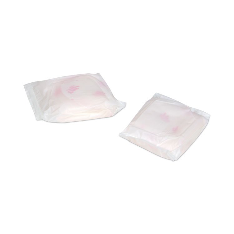 HOSPECO Generic Packaged Sanitary Pads, Regular Absorbency, 24/Pack, 24 Packs/Carton (HOSBULK576)